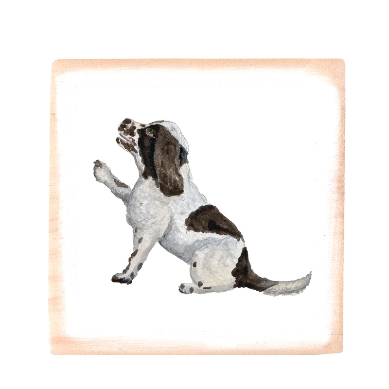 english cocker spaniel square wood block