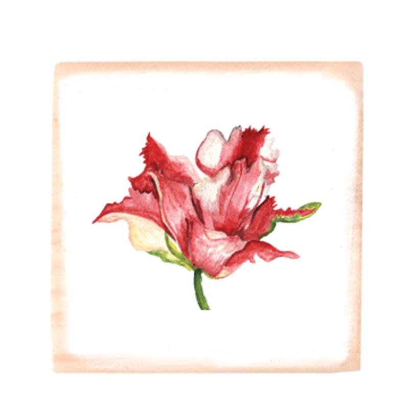 parrot tulip square wood block