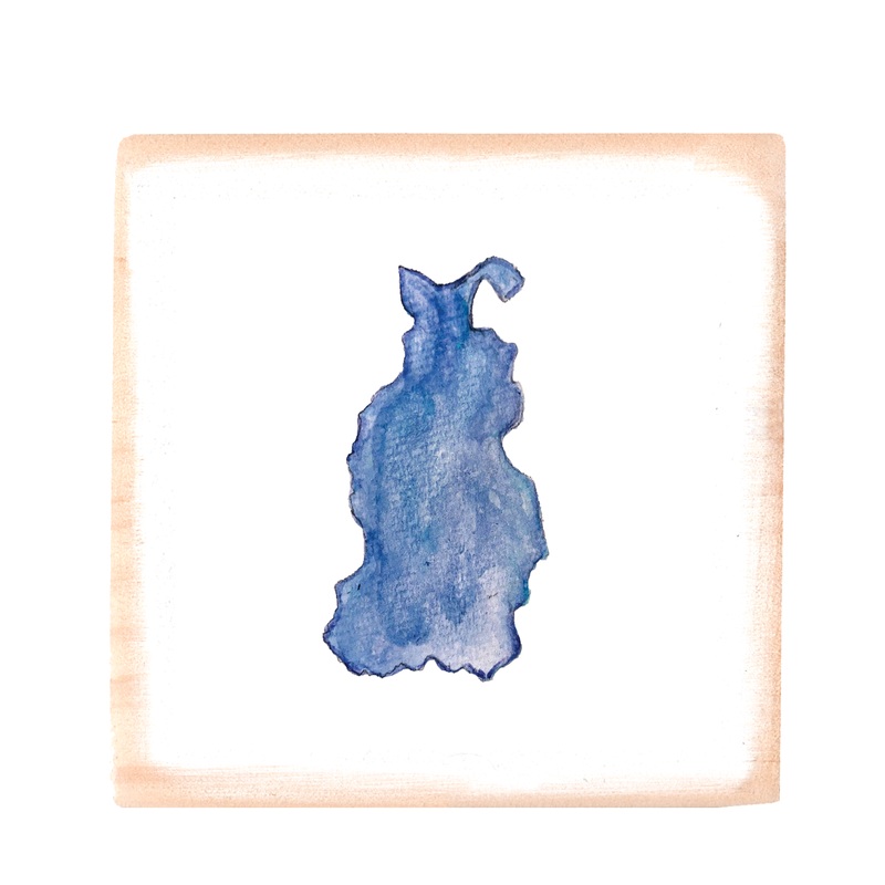 beaver island shape square block