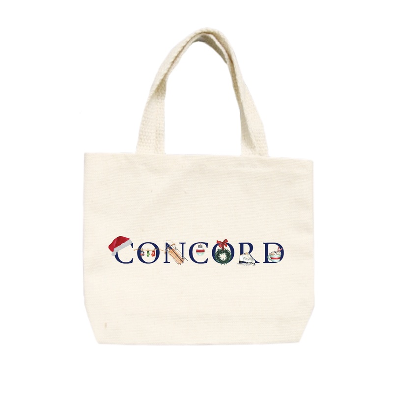 concord winter small tote