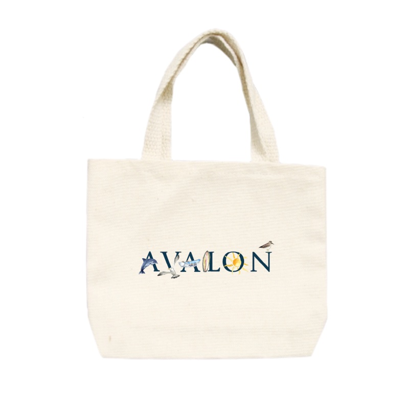 Avalon small tote