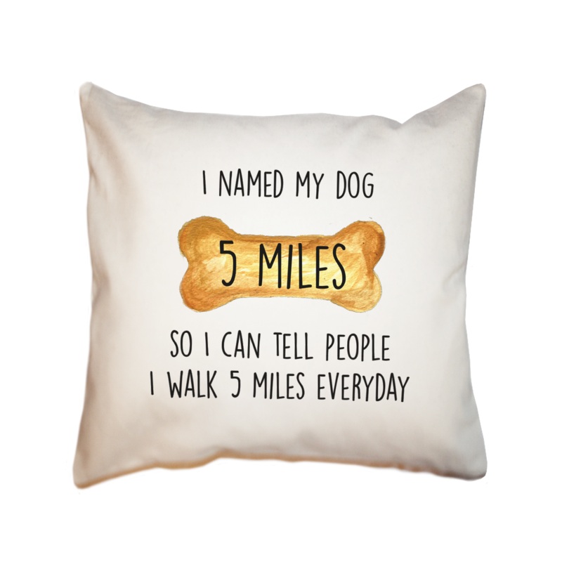 5 miles square pillow
