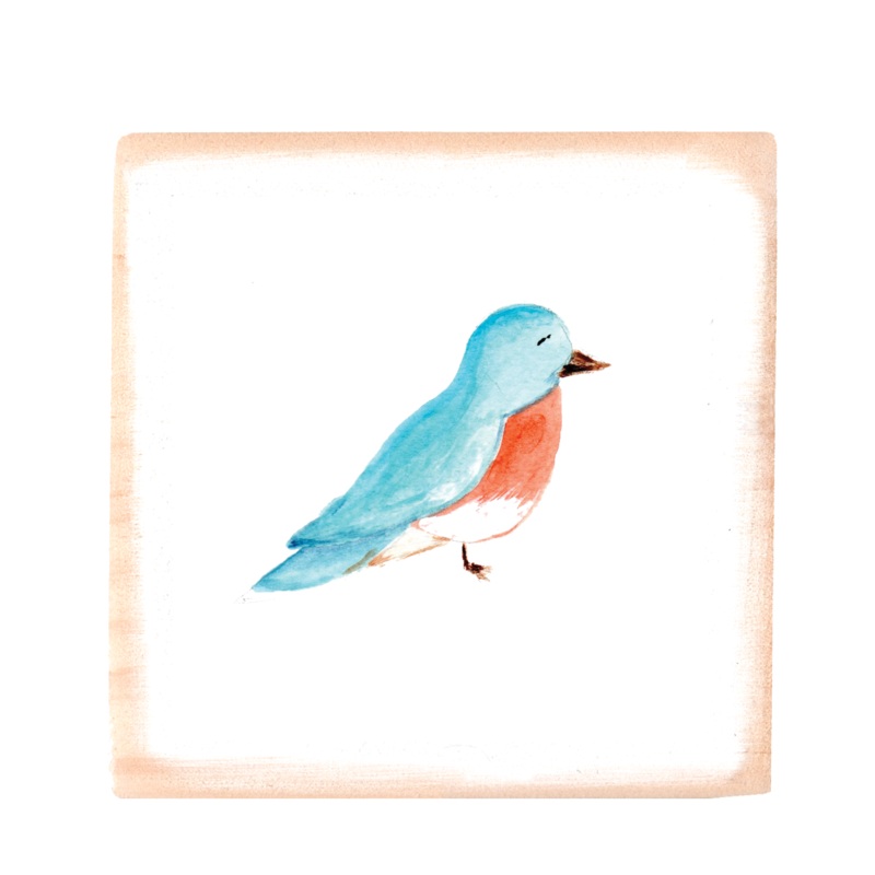 bluebird square wood block
