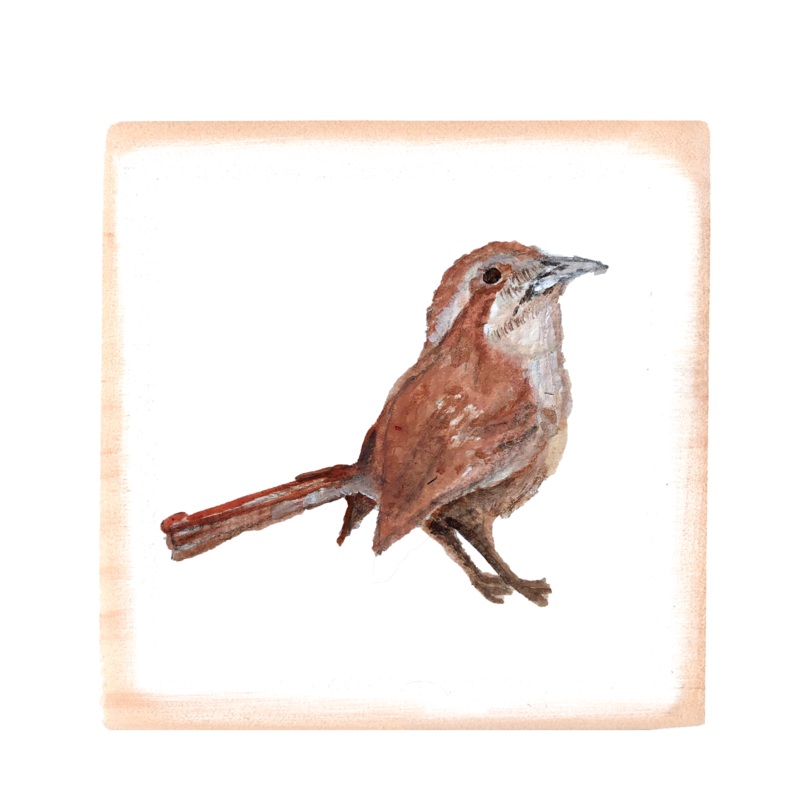 carolina wren square wood block