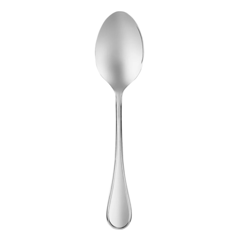 Albi Stainless Steel Serving Spoon
