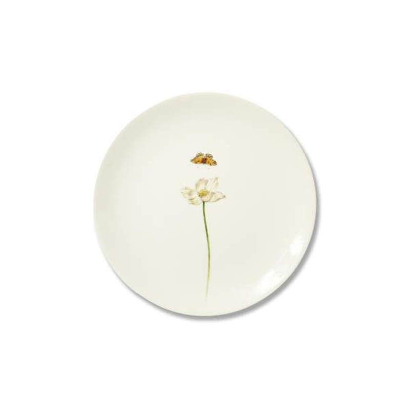 Bloom Anemone Hupehensis Plate S97462709