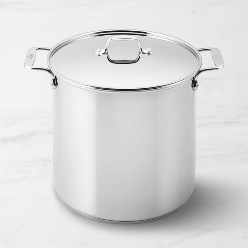 All-Clad Stainless-Steel Gourmet Accessories Stock Pot, 16-Qt. S97426403