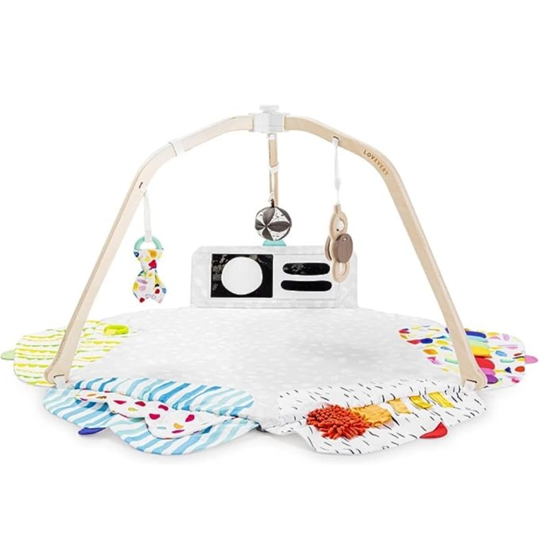 The Play Gym S97424454