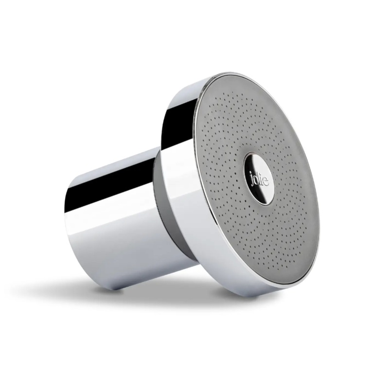 The Filtered Shower Head