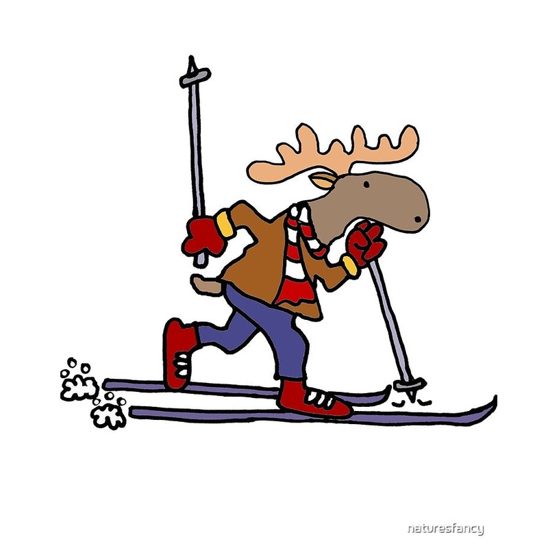 Backcountry Cross Country Skiing Tour S97465320