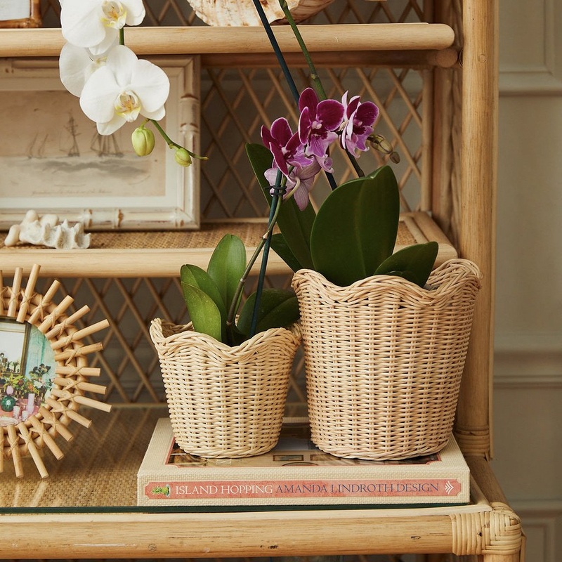 Wavy Wicker Orchid Baskets Large, Set of 3