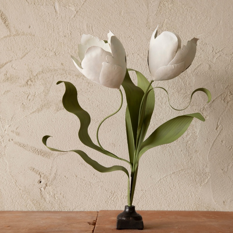 Tole Double Parrot Tulip S97425754