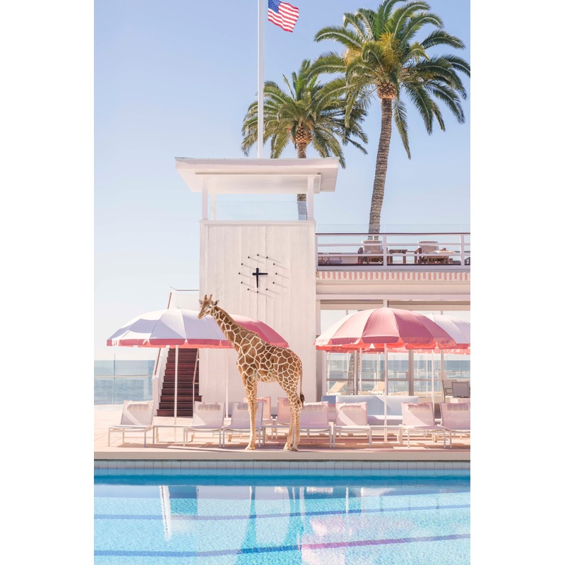 Afternoon Stretch, Coral Casino