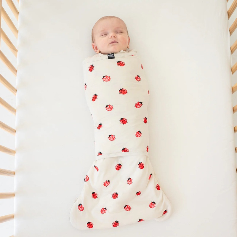 Sleep Bag Swaddler in Love Bug