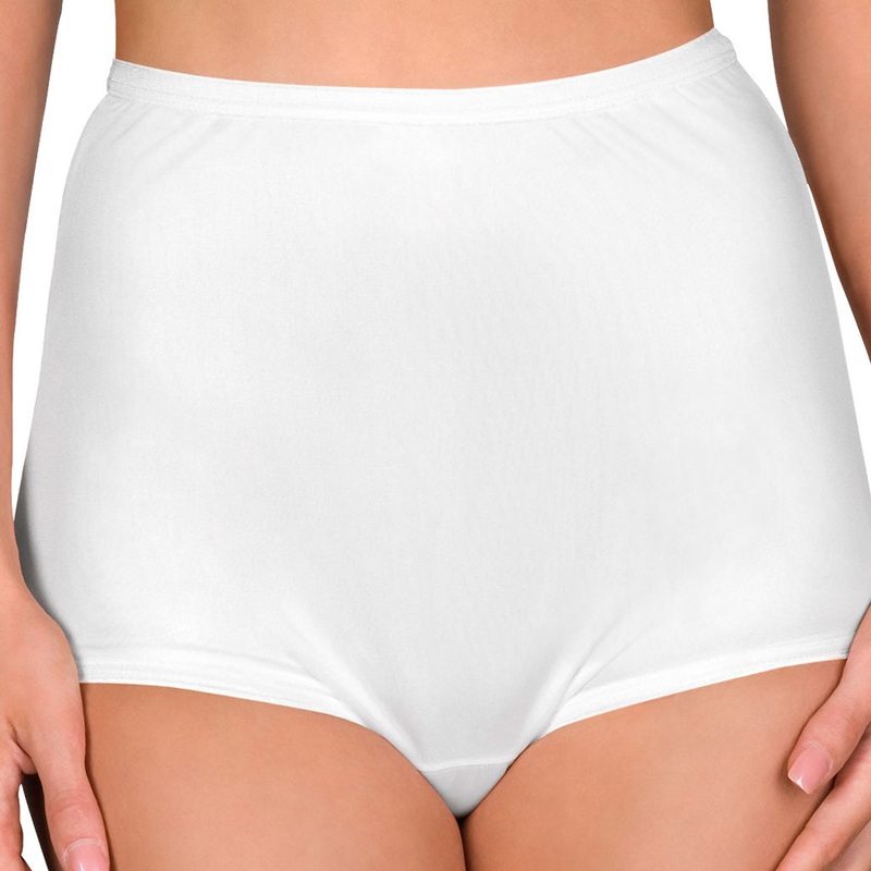 Nylon Hidden Elastic Full Brief 17032