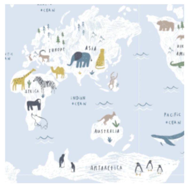 Sea the World Swaddle Blanket