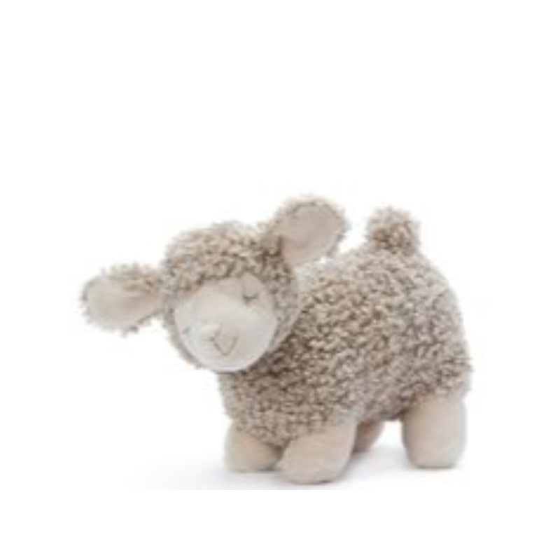 Charlotte the Sheep – Nana Huchy