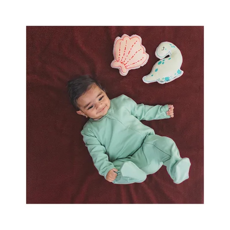 TIDY SLEEP Waterproof Baby Bed Protector Dry Sheet For New Born Babies- Maroon (Small)